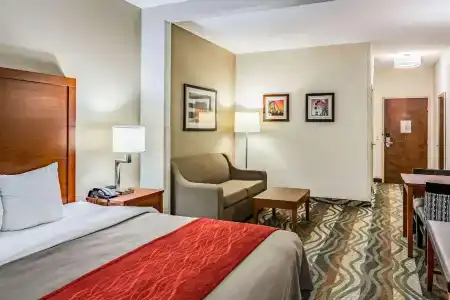 Comfort Inn & Suites West - Lookout Mountain - 46