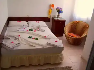 Villa Fortin Pension - 2