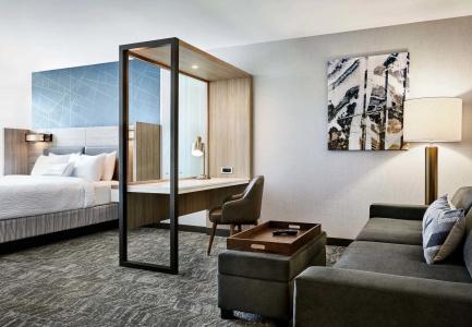 SpringHill Suites by Marriott Orlando at Millenia - 4