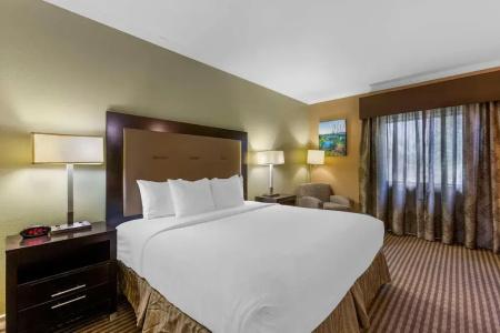 Best Western Royal Sun Inn & Suites - 37