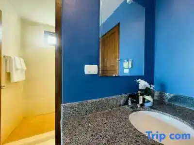 Sino Inn Phuket - Sha Plus - 187