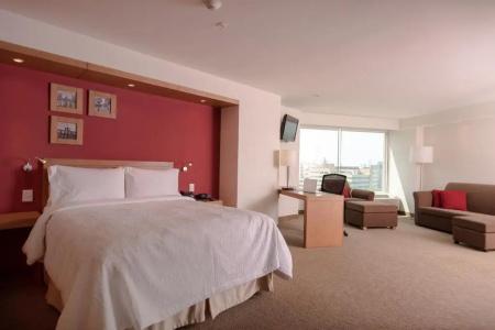 Hampton by Hilton Guadalajara Expo - 49