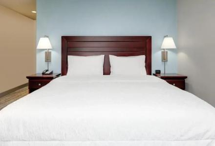 Hampton Inn & Suites Dallas-Arlington-South - 34
