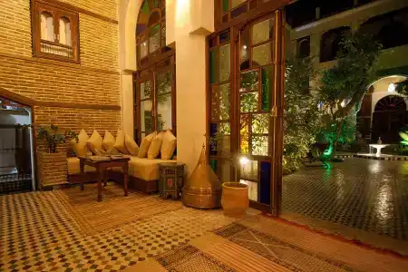 Ryad Salama - 0