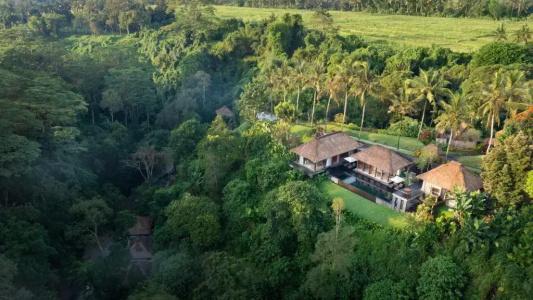 Maya Ubud Resort & Spa - 69