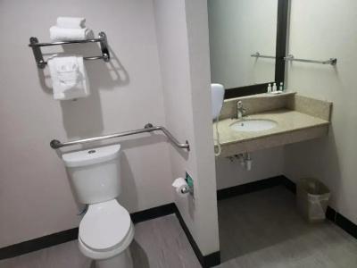 Quality Inn Airport East - 33