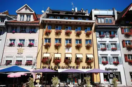 Waldshuter Hof - 0