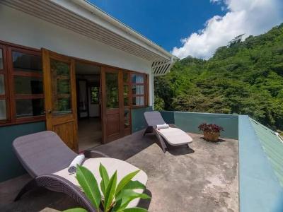 Copolia - 18