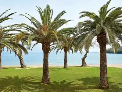 Grecotel-LUXME Daphnila Bay Dassia - 24