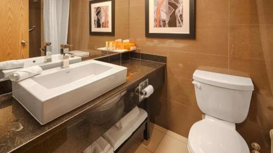 Best Western Plus Village Park Inn - 52