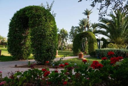 Palais Mehdi - 8