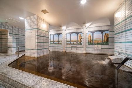 Super Osaka Natural Hot Springs - 23