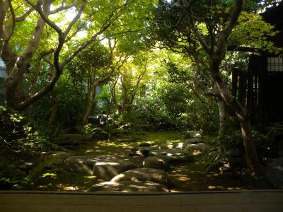 Guest House Koiya - 15