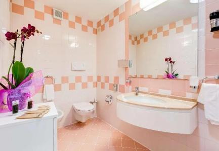 Best Western Imperiale - 69