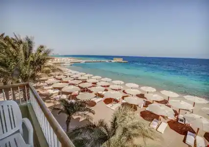 Palm Beach Resort Families and Couples only - 52