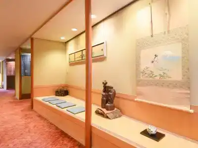 Hagoromo - 2