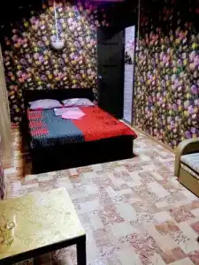 Сова - 1