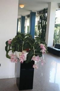 Caravelle Thalasso & Wellness - 16