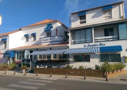 Le Dauphin Bleu - 0