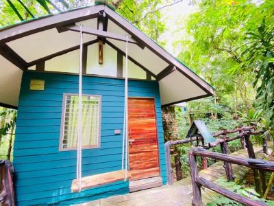 Khao sok tree house resort - 28