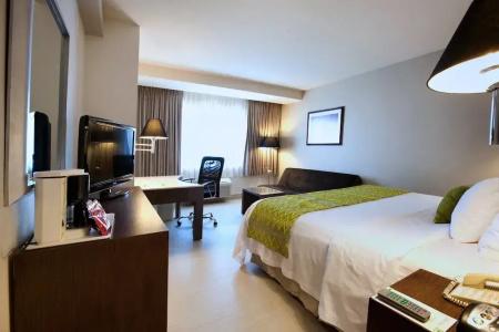 Holiday Inn Puebla La Noria, An Ihg - 83