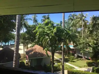 Koh - 29