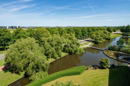 Radisson Blu Amsterdam Airport, Schiphol - 44