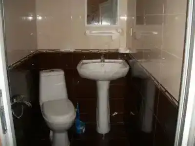 Magnolia Agmashenebeli - 6