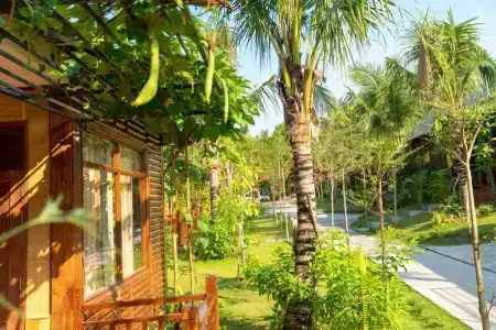 Phu Quoc Bambusa Resort - 131