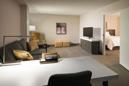 Hilton Garden Inn Las Colinas - 60
