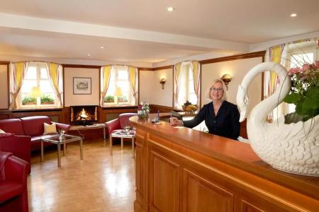 Flair Schwanen - 13