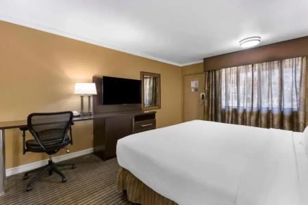 Best Western Royal Sun Inn & Suites - 59