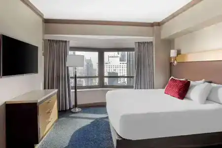 Hilton Club New York - 7