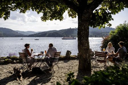 Maritim Titisee - 28