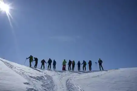 Aurora - 15