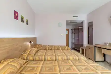 Ivana Palace - 65