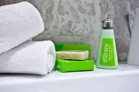 Holiday Inn Gaziantep, An Ihg - 7