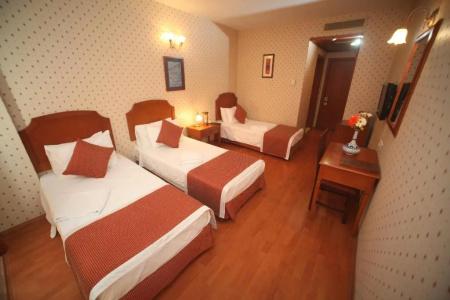 Erguvan - Special Category - 41