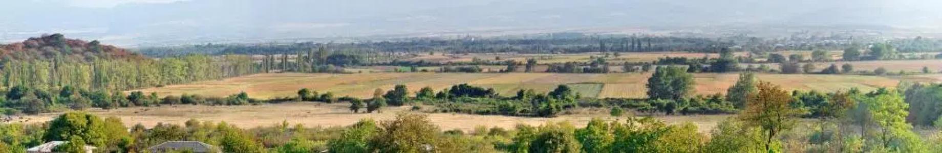 Babaneuris Marani - 135