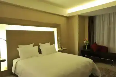 Shenzhen Novotel Watergate(Kingkey 100) - 54