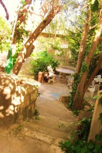 Villa Ambra b&b - 20