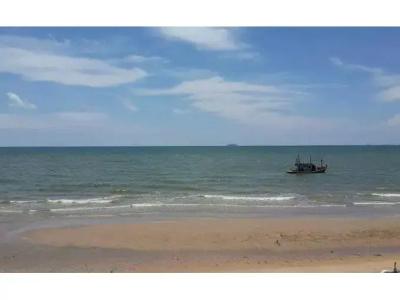 Sea Falcon - 44
