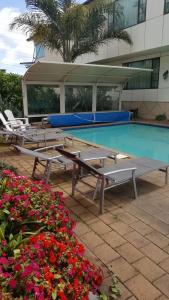Albany Rosedale - 12