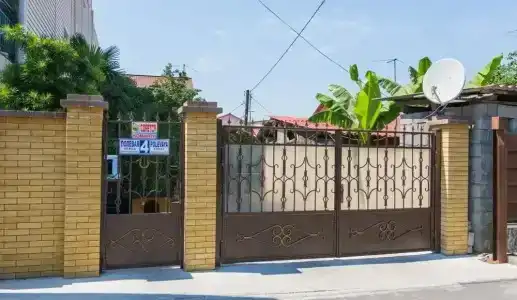 Зеленый уголок - 2
