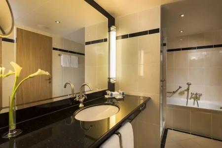 Maritim Dresden - 78
