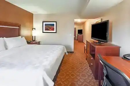 Holiday Inn & Suites Downtown, an IHG - 92