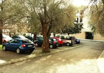 Šumadija Rafailovići - 16