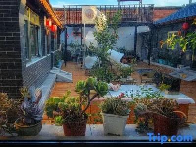 Orchid Residence Suratthani - 175