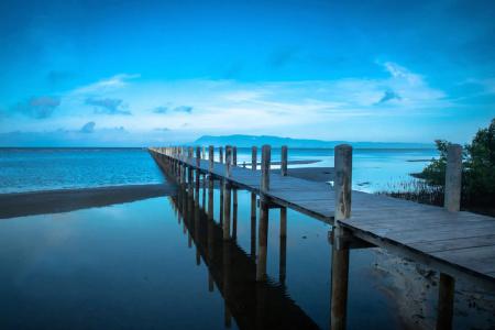 Samanea Beach Resort & Spa - 19