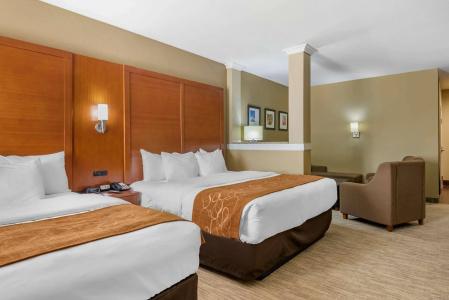 Comfort Suites - University - 3